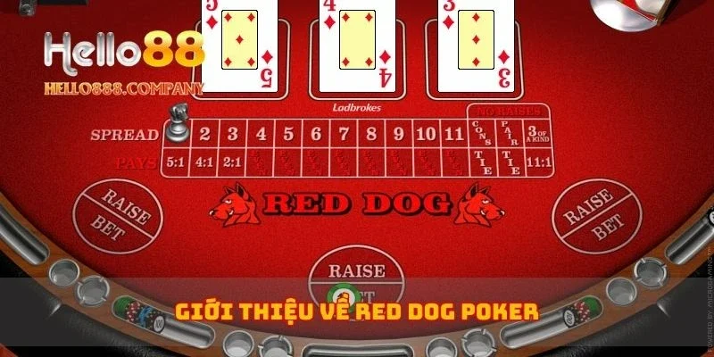 Giới thiệu về Red Dog Poker