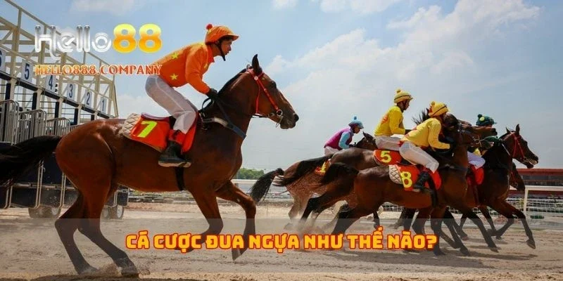 Cá cược đua ngựa như thế nào?
