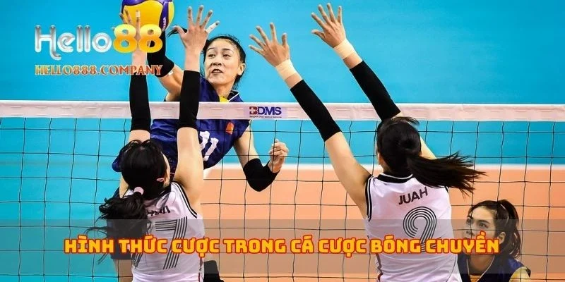 Hình thức cược trong cá cược bóng chuyền