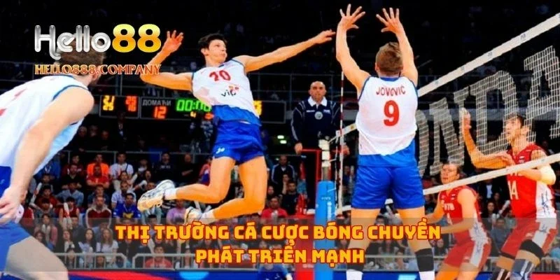 Thị trường cá cược bóng chuyền phát triển mạnh