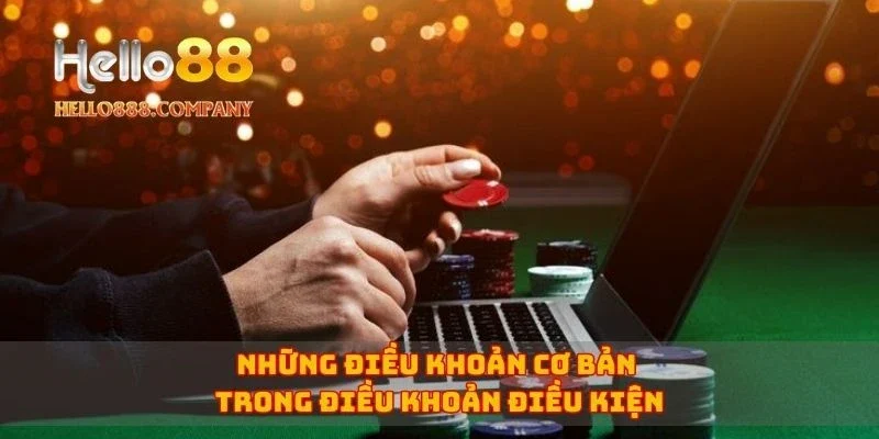 Những điều khoản cơ bản trong điều khoản điều kiện